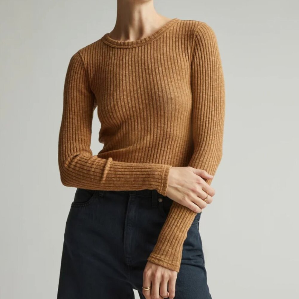 Everlane The Cozy Rib Long-Sleeve Tee in Cappuccino Tan Brown